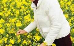 无翼乌漫画集少女漫画大全